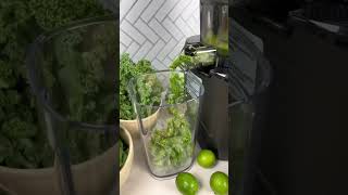 Alkaline Green Juice [upl. by Colligan]