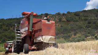 Trebbiatura grano con Laverda 3300 AL Wheat threshing with Laverda 3300 AL Harvester [upl. by Nageam]