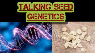 Seed Genetics to maximize yield [upl. by Thor]