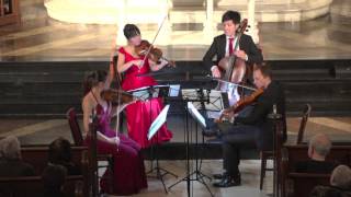 Attacca Quartet plays Haydn Op 76 no 2 quotFifthsquot  First Movement [upl. by Nancy]