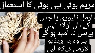 Nabi Booti For Pregnancy  How To Use Nabi Booti To Conceive  Mariam Booti Ka Istamal [upl. by Buller472]