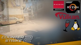 Counter Strike 2  Ryzen 5 5600G  Radeon Vega 7 Linux Wine Test [upl. by Atrahc173]