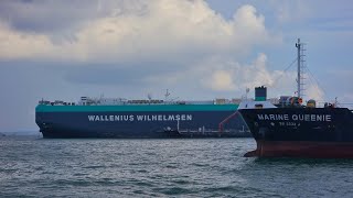 CAR CARRIER WALLENIUS WILHELMSEN [upl. by Arikal756]