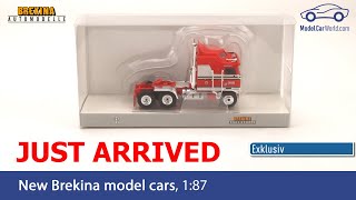 Brekina 187 Just arrived  exklusive for Model Car World  Kenworth K 100 Aerodyne [upl. by Karil919]