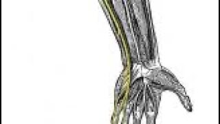 Ulnar Nerve Stretch  relieves pain [upl. by Horsey]