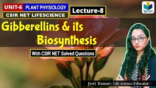 GIBBERELLIN AND ITS BIOSYNTHESIS PHYTOHORMONEPART8CSIR NET [upl. by Latterll497]