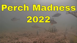 Ice Fishing Saginaw Bay Perch Madness 2022 [upl. by Malonis343]