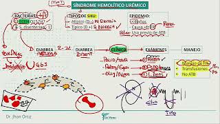 Pediatría  Sd hemolitico uremico neoplasias miscelanea [upl. by Erdnad414]