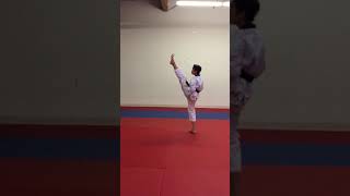 Taekwondo Form  6 – WTF Form  6 Taegeuk Yuk Jang [upl. by Kiri951]