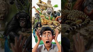 cango rainforest trending ytshortsvideo facts animals [upl. by Schluter]