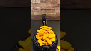 TRIBIT StormBox Mini Bass Test with Minion Goldfish 🫣😳 [upl. by Nodnart]