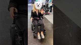 MD26 detachable electric wheelchair with two batteries on the exhibition 🇩🇪 electricscooterelder [upl. by Goulder760]