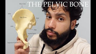 Making The Innominate Pelvic Bone Understandable [upl. by Janice]