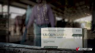 Special Offer on UlcerGard [upl. by Thierry217]