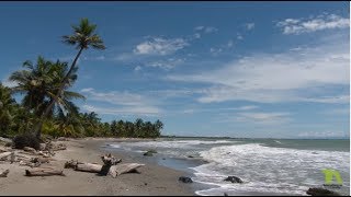 Bobalito Necoclí la playa del nacimiento  Antioquia Asombrosa [upl. by Notseh400]