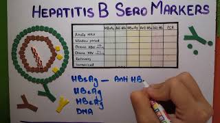 hepatitis B Serology explained [upl. by Angelia]