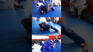 Treino de feriado na Gracie Barra Barreiro com a presença de amigos que fizeram a diferença bjj [upl. by Staw]