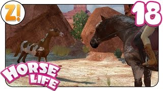 Horse Life  Freunde für immer Ein Fohlen auf Wanderschaft 18  Lets Play ★ GERMANDEUTSCH [upl. by Tomkin]