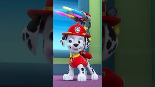 PAW Patrol  La Pat Patrouille  La Pat Patrouille chante la chanson de lamitié  💗 Shorts [upl. by Copland]