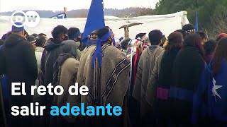 El camino productivo de los mapuches en tierras restituidas [upl. by Eiboh870]