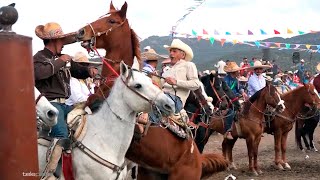 Caballos RAJADOS  Diablos FUERA [upl. by Stedt948]