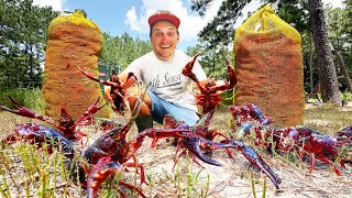 Stocking MASSIVE Crawfish for a WORLD RECORD Bass in my Backyard Pond [upl. by Nortna]