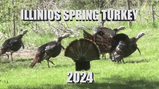 Illinois Turkey Hunt 2024 [upl. by Older482]