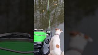 Dexter What did he catch fishing carp carpangler dog jrt dexter puppy fish happy angler [upl. by Lhary]