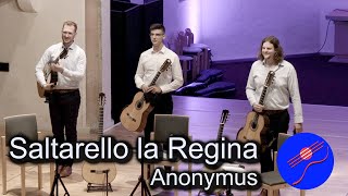 Tritonus Guitar Trio plays quotSaltarelloquot Anonymus  GFN 2023 [upl. by Schaper943]