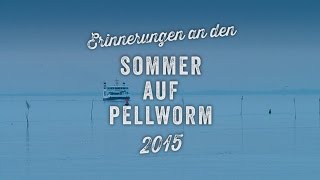 Erinnerungen an den Pellwormer Sommer 2015 [upl. by Rohpotsirhc553]