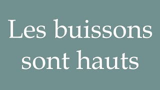 How to Pronounce Les buissons sont hauts The bushes are tall Correctly in French [upl. by Hudnut106]