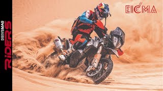 2019 KTM 790 Adventure Walkaround  The Final Version is Here [upl. by Cristina]