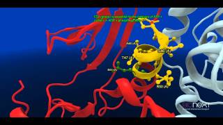 Structural Annotation of a Kinase CDK2 [upl. by Liban]