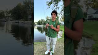 How to fish a frog for bass [upl. by Niala196]