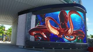 New Nassau Bahamas Cruise Port Big Screen  Jumbotron 3D Animations [upl. by Elnore]