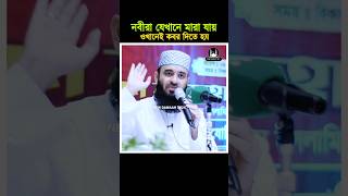 নবীরা যেখানে মারা যায় ওইখানেই কবর দিতে হয়। Mizanur Rahman Azhari shorts waz reels fyp newwaz [upl. by Anitsyrk12]