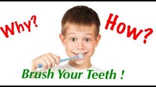 Why amp how to brush your teeth [upl. by Daveda909]