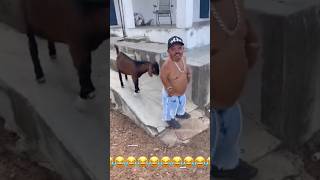 Amazing funny video🤣🤣trending youtubeshortsviralvideo funnyfunnyvideo facebook funny funny [upl. by Dnomal]