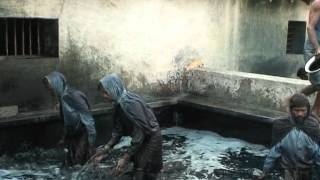 Indigo Dye Extraction [upl. by Terrab]