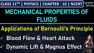 Class 11th Physics  Applications of Bernoullis Principle  Example 108  Chapter 10  NCERT [upl. by Ury]