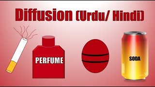 DIFFUSION REAL LIFE EXAMPLES URDUHINDI  DIFFUSION IN URDU  CLASS 9 amp 11 CHEMISTRY BIOLOGY [upl. by Maribeth962]