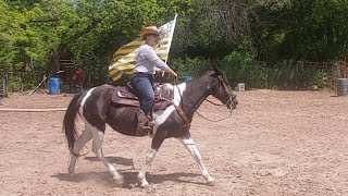 Flag Desensitization  Exercises for Carrying a flag for a drill practice [upl. by Jervis]