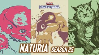 Best Naturia Deck  Season 25  Yugioh Master duel 2024 [upl. by Diamante972]