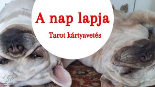 Egykártyás napi tarot üzenet [upl. by Snehpets]