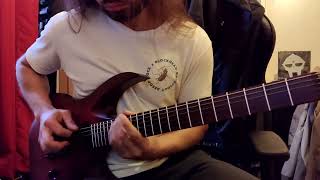 Slimelord  BrainGut Axis Solo cover by Saileh [upl. by Cirdes]