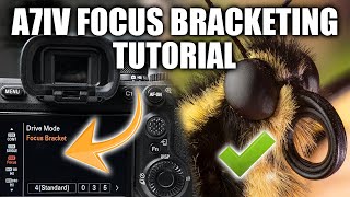 Sony A7IV Focus Bracketing Tutorial  Editing [upl. by Lorraine249]