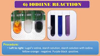 Iodine test [upl. by Anoyek]