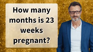 How many months is 23 weeks pregnant [upl. by Einnaf]