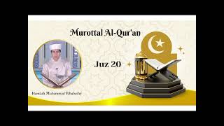 Juz 20  Qari Hamzah Elhabashy [upl. by Eemyaj788]