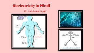 BioElectric Potential [upl. by Campy674]